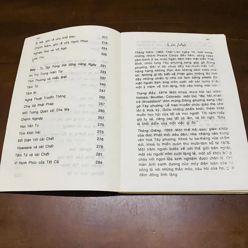 Kinh nghiệm thiền quán phương pháp thiền tập Vipassana 719108