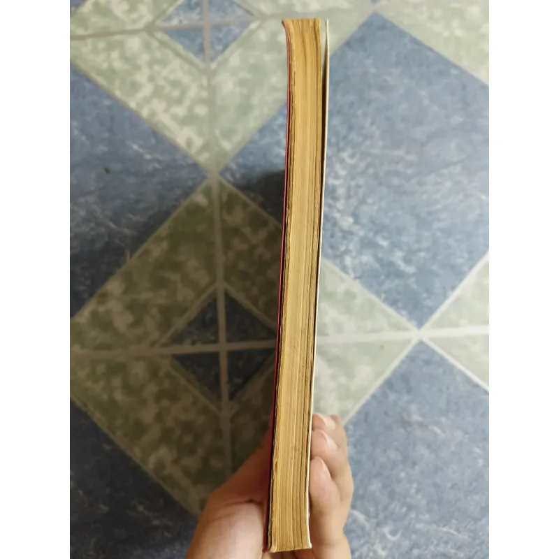 Thành lũy phố phường và con người Hà Nội trong lịch sử - Nguyễn Khắc Đạm 561455