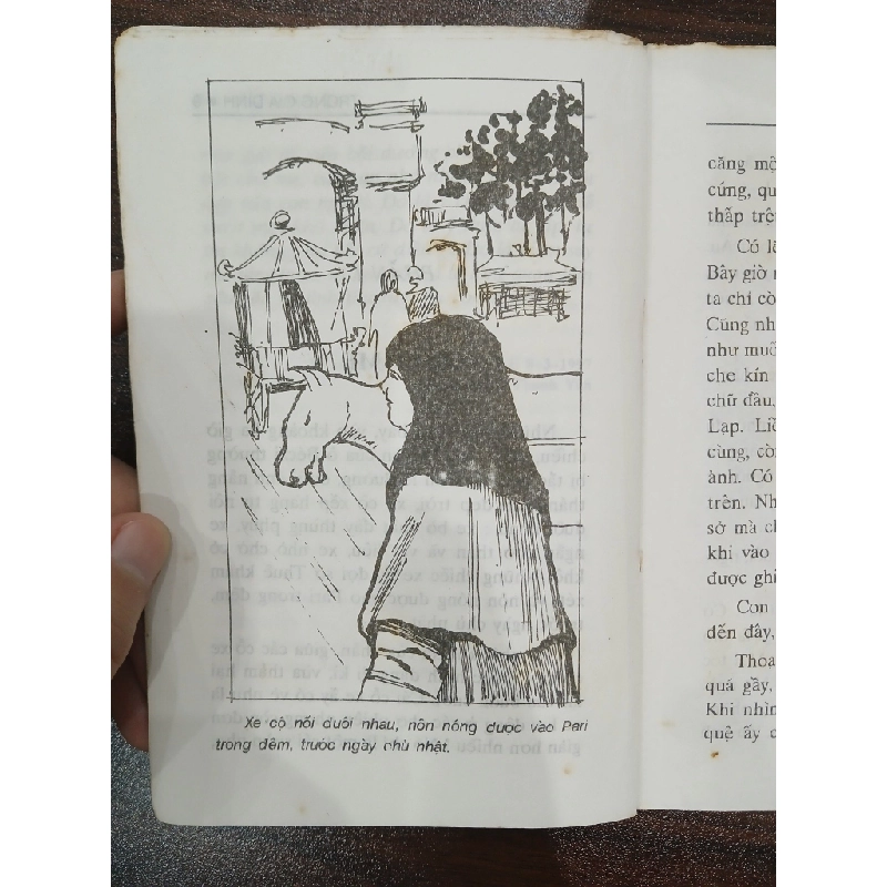 Trọng tài gà đình 549578