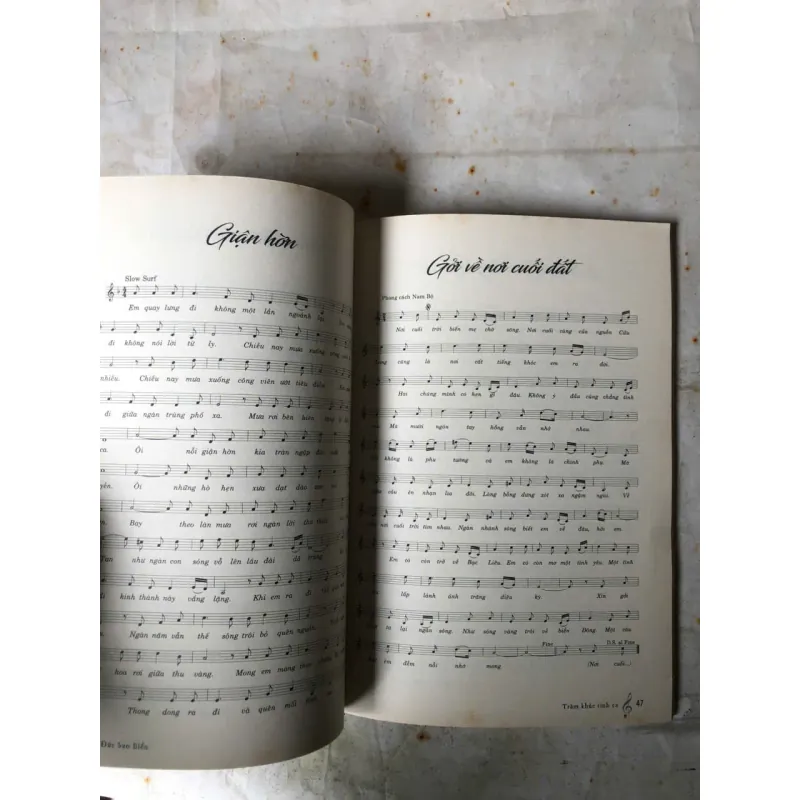 Đêm Gành Hào Nghe Điệu Hoài Lang - Vũ Đức Sao Biển 974417