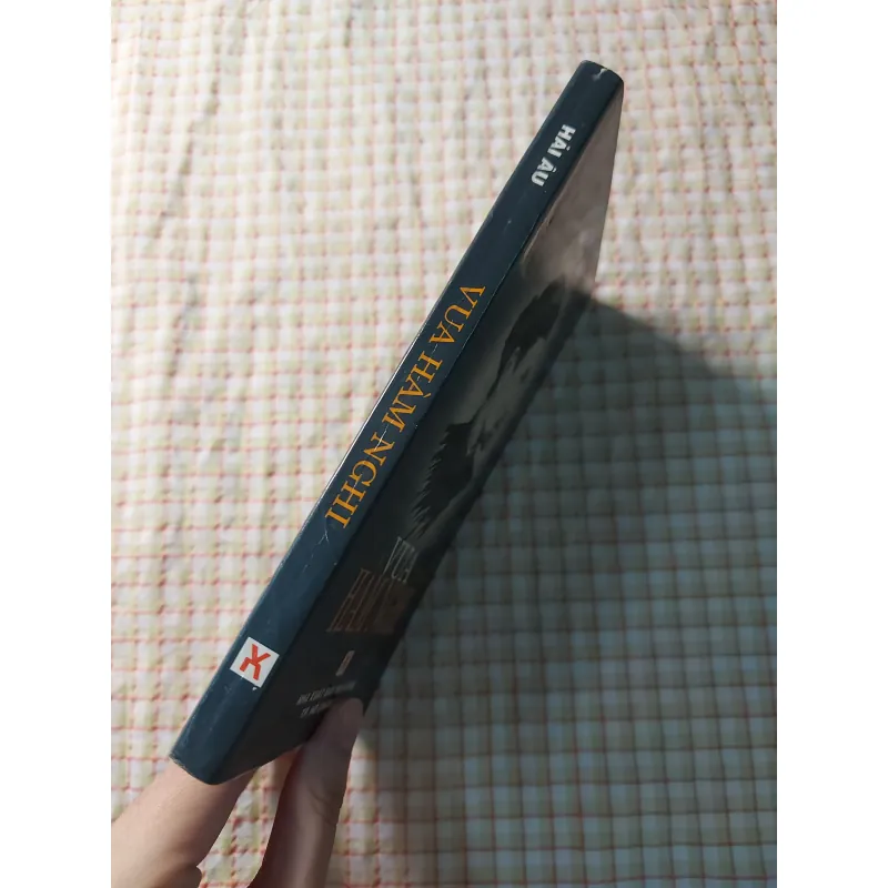 VUA HÀM NGHI - HẢI ÂU 713716