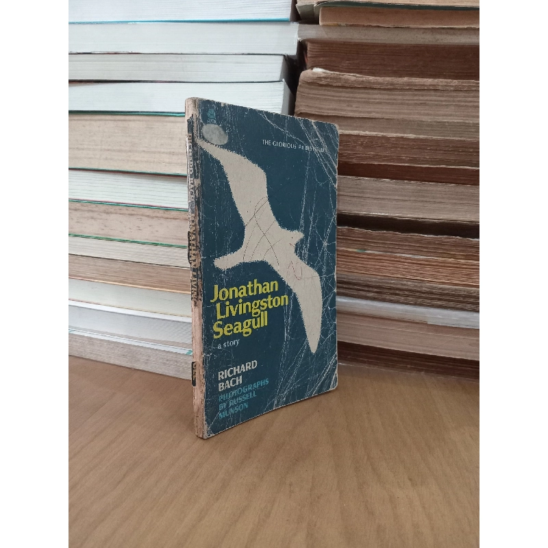 Jonathan Livingston Seagull - Richard Bach 1020420