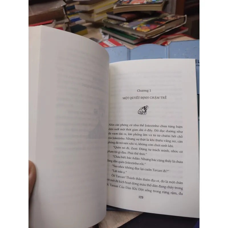 Sách: Sưởi ấm mặt trời - TG: José mauro de vasconcelos (B1) 782712