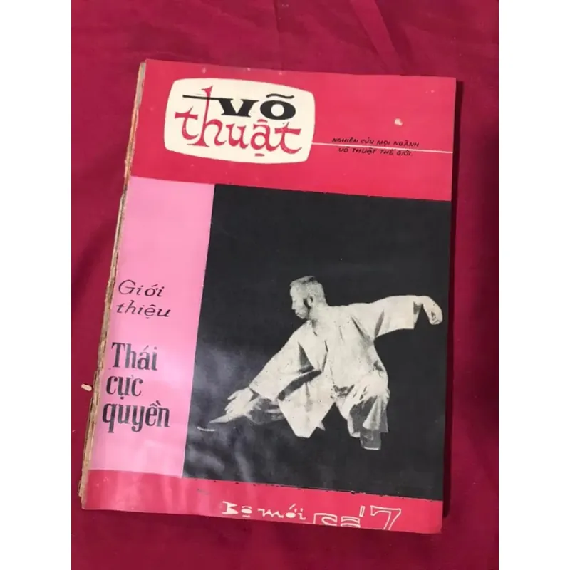 NGUYỆT SAN VÕ THUẬT 1035891