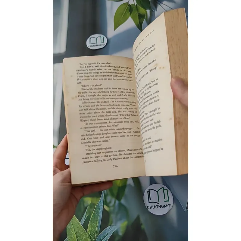 [MIỄN PHÍ BỌC SÁCH] The Morning Gift - Eva Ibbotson 1033594