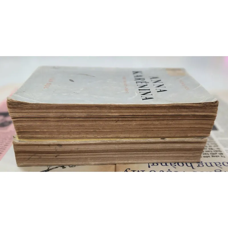 Lev Tolstoy - Trọn bộ 2 tập Anna Karenina (Dịch giả: Nhị Ca & Dương Tường) 705063