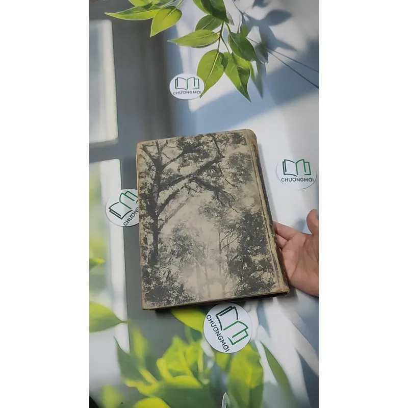 [MIỄN PHÍ BỌC SÁCH] The Plant World - Harry J. Fuller 750801