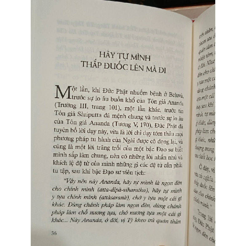 Hãy tự mình thắp đuốc lên mà đi - Thích Minh Châu 453778