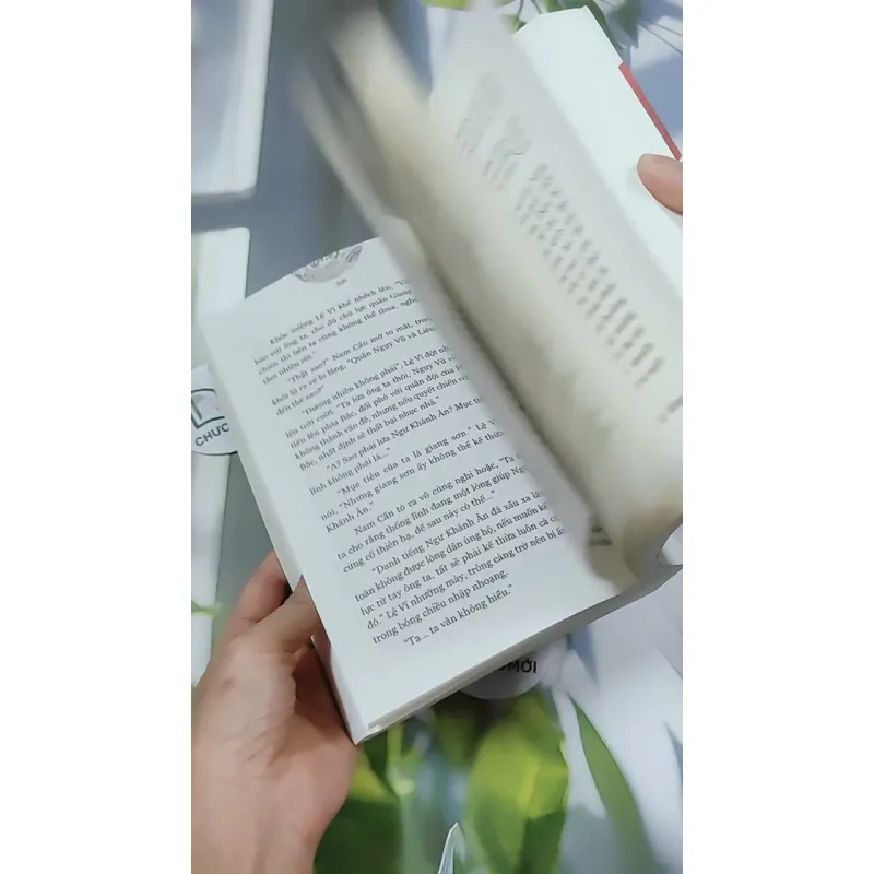 Nam Cực Tinh - Phong Duy 744707