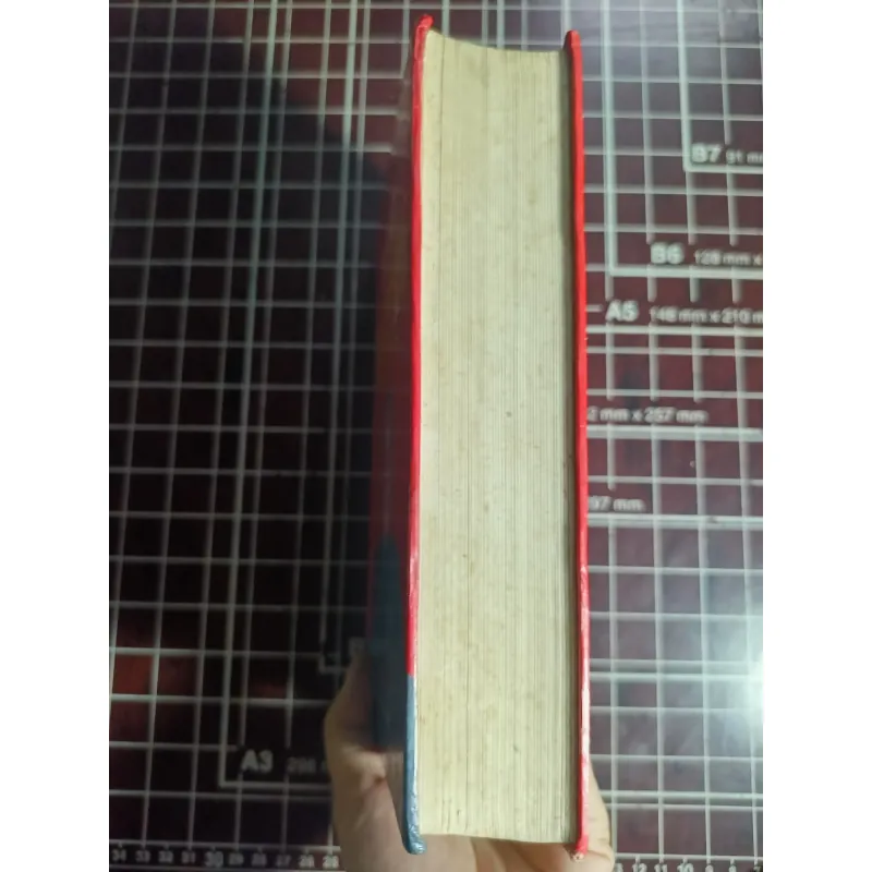 Cuộc đời Đặng Tiểu Bình ( Hưng Quốc Hoàng đế) - Trần Phác 754633