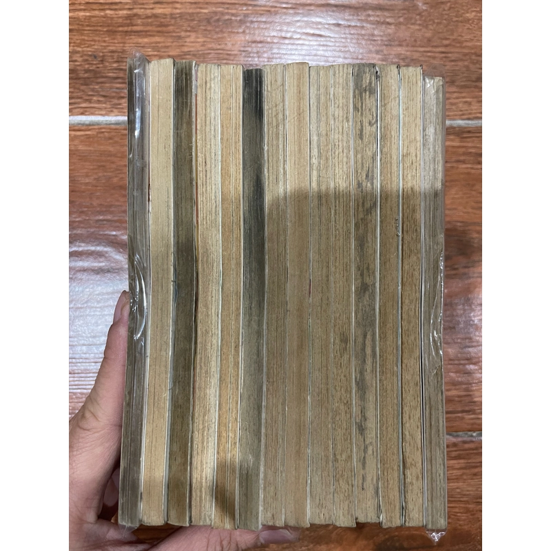 Hiệp sĩ rừng xanh full bộ 14 tập (18) 383836