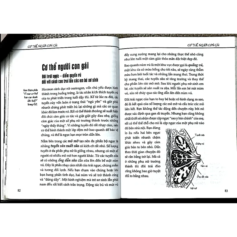 TẤT CẢ NHỮNG GÌ THIẾU NỮ MUỐN BIẾT - TRUDE AUSFELDER 1029798