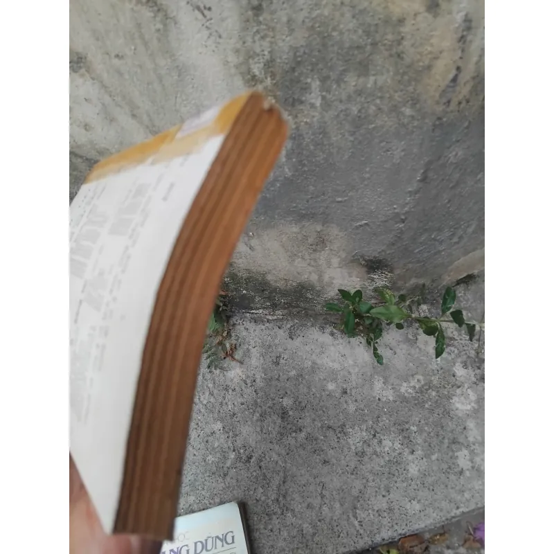 Quang Dũng người và thơ của Hoài Việt ( bản in lần 2 ) 1023973