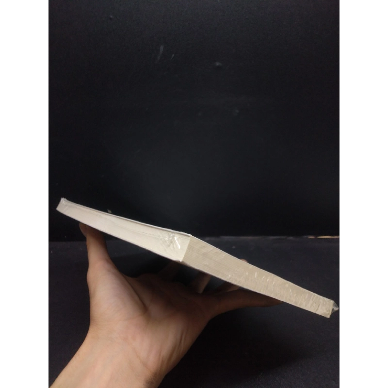 The Big Four - 4 đại gia kiểm toán Ian D. Gow, Stuart Kells mới 95% HCM.ASB1003 913790