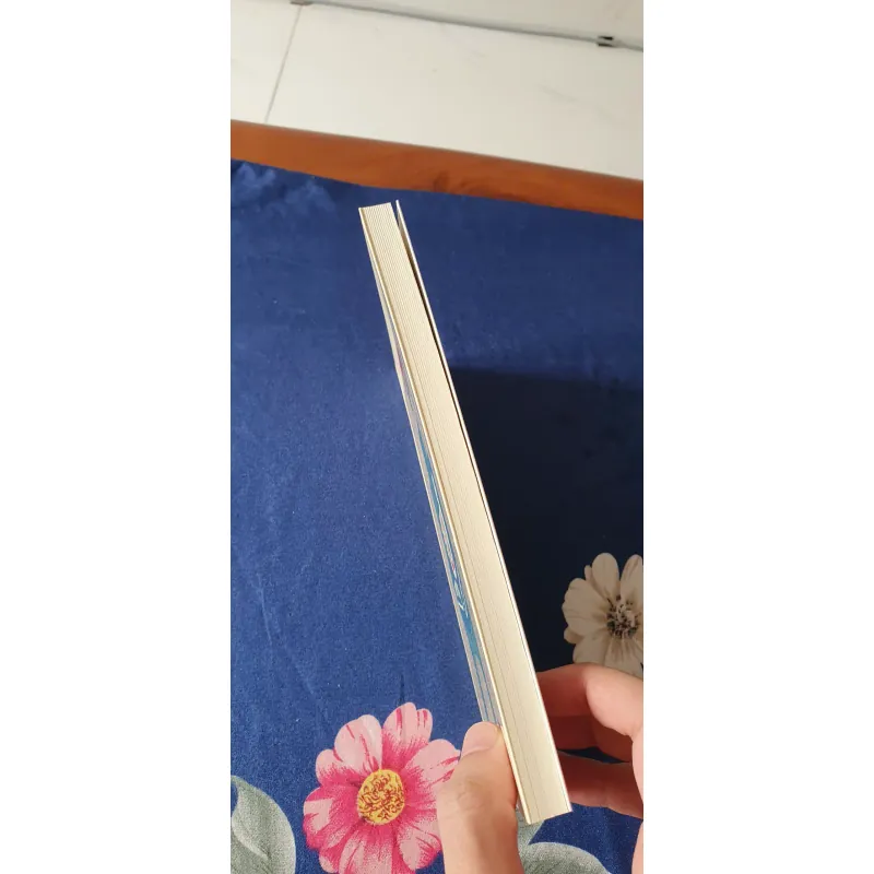 Nhật Ký Già Si - Tanizaki Junichiro, mới 90% (TrieuL) 605132