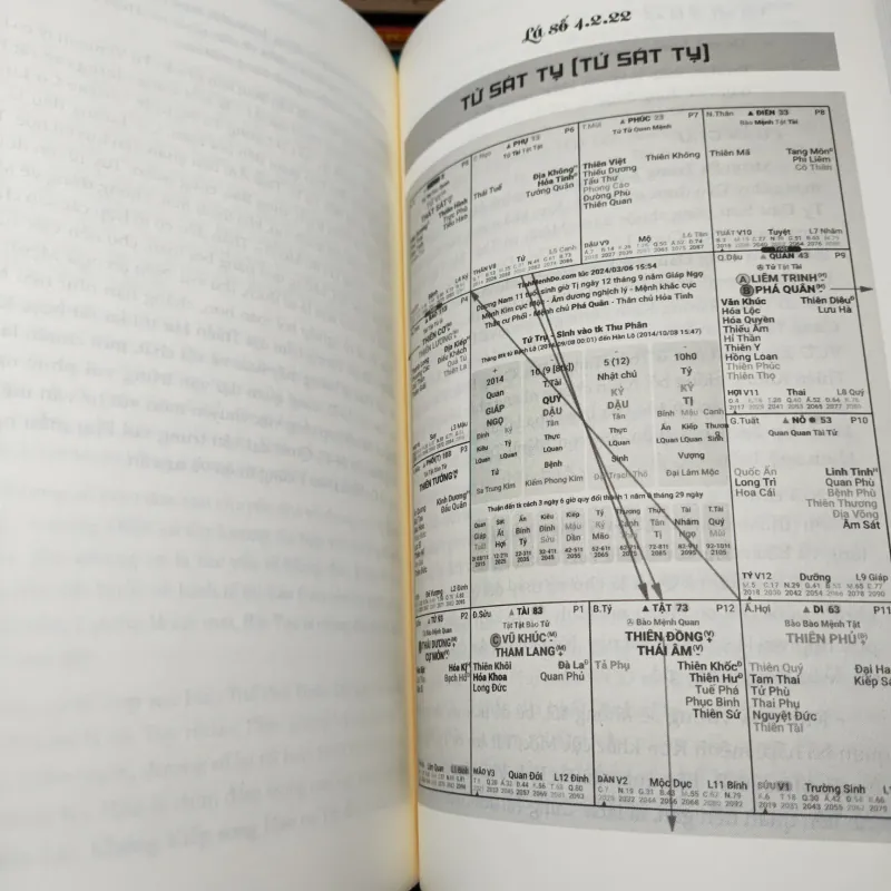 Tử Vi Dễ Hiểu - Thực Hành Tổng Hợp 1 1021155