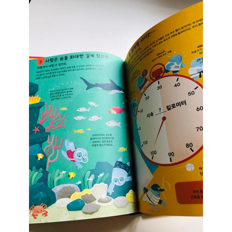 📚 SÁCH TIẾNG HÀN QUỐC – 100 ĐIỀU VỀ CƠ THỂ NGƯỜI 552932