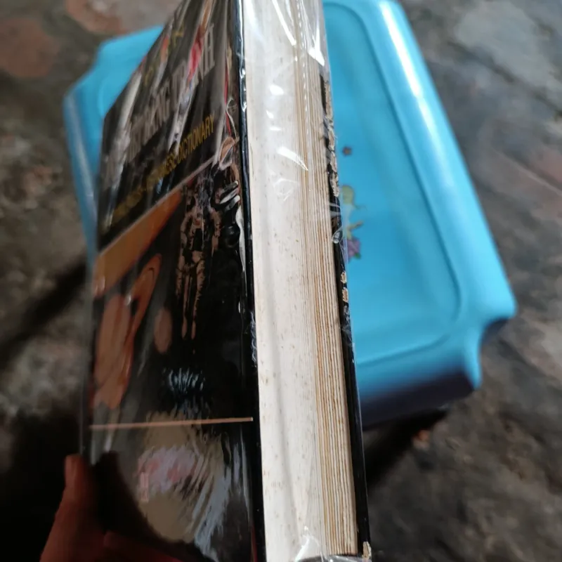 Từ điển Anh - Việt bằng tranh 1020476