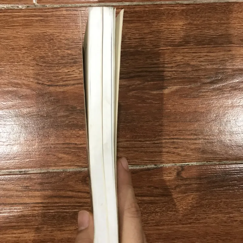 Champa Acient towers Readlity & Legend (6) 1006630