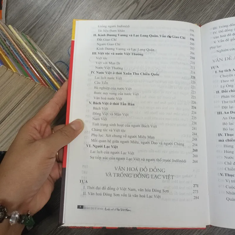 Lịch Sử Cỏi Đại Việt Nam - Đào Duy Anh 1020059