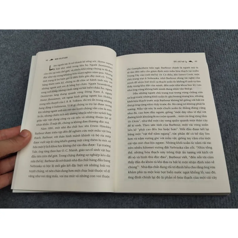 ĐẾ CHẾ HẢI LY 990661