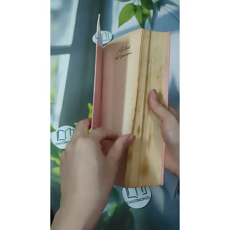 Khi Ta Đi Lướt Qua Nhau - Dạ Dao 1018875