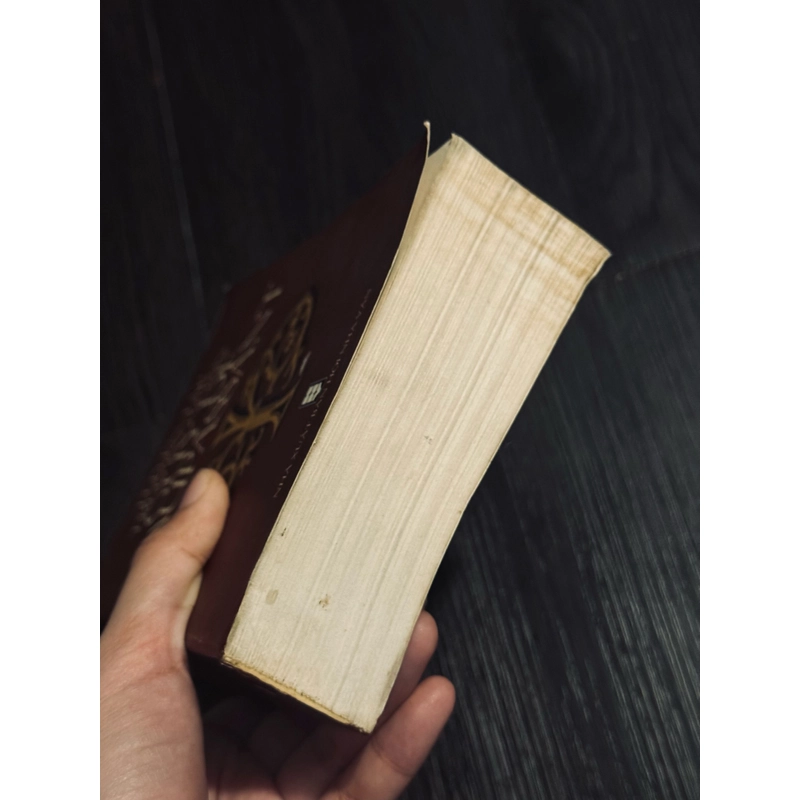 Tuyển tập truyện ngắn  524178