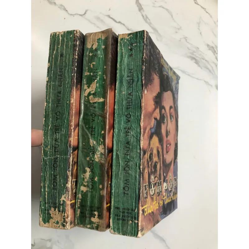 Tom Jones - Đứa Trẻ Vô Thừa Nhận (Bộ 3 Cuốn) - Henry Fielding - Trần Kiêm dịch 732598
