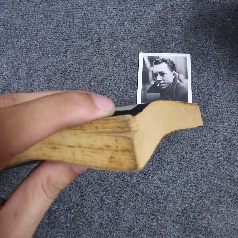 Pride and prejudice 1029663