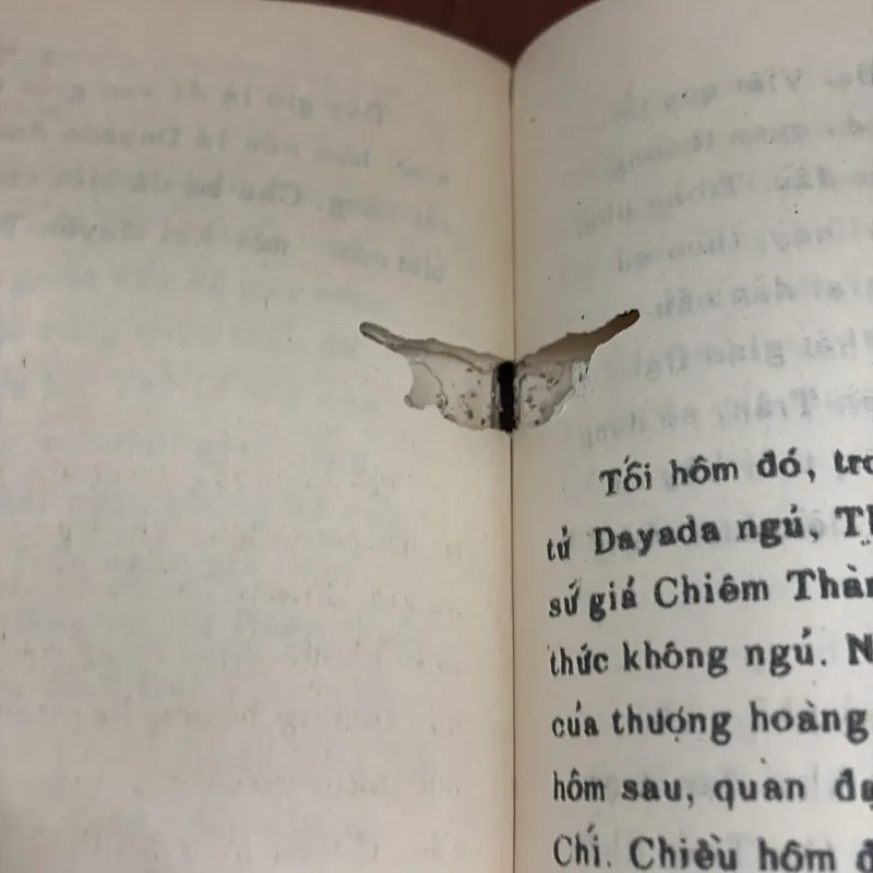 II Sách Phật Giáo: Am Mây Ngủ - Thích Nhất Hạnh - Lá Bối 631514