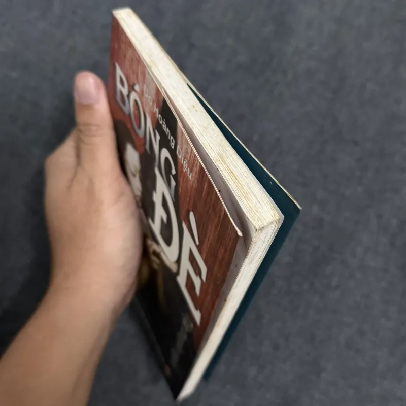 Bóng đè - Đỗ Hoàng Diệu 996773