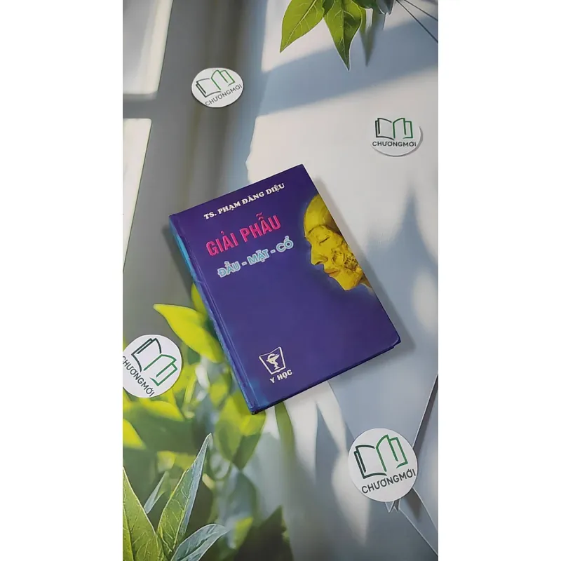 [MIỄN PHÍ BỌC SÁCH] Giải Phẫu (Đầu - Mặt - Cổ) - TS. Phạm Đăng Diệu 990450