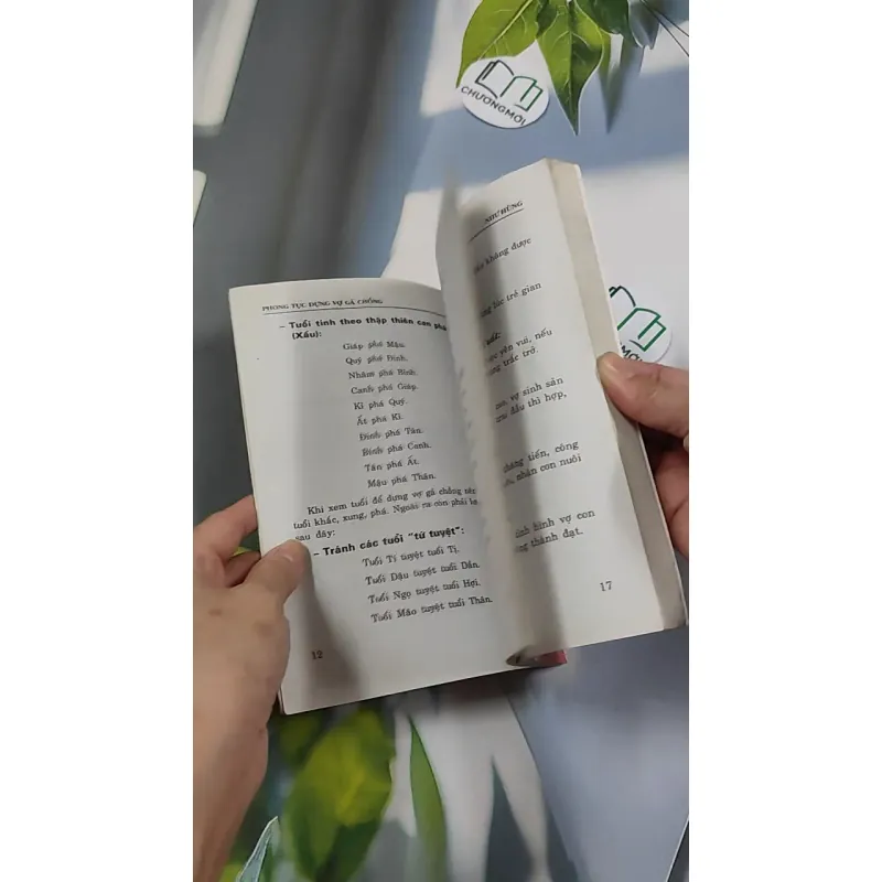 Phong Tục Dựng Vợ Gả Chồng - Như Hùng 776135