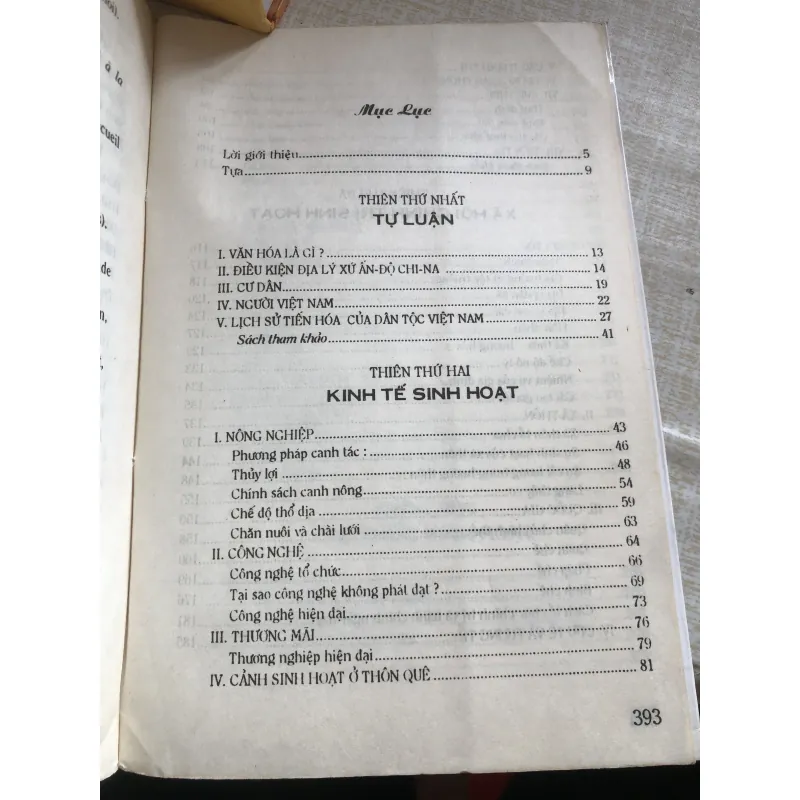 Việt Nam văn hoá sử cương - Đào Duy Anh  968649