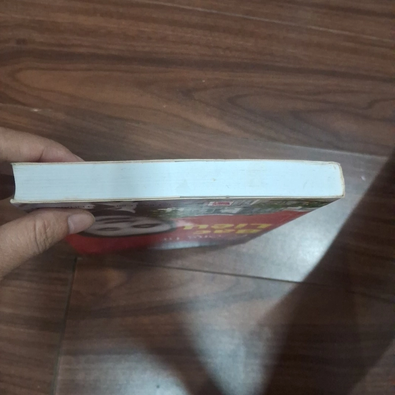 Công tử bạc liêu 512098