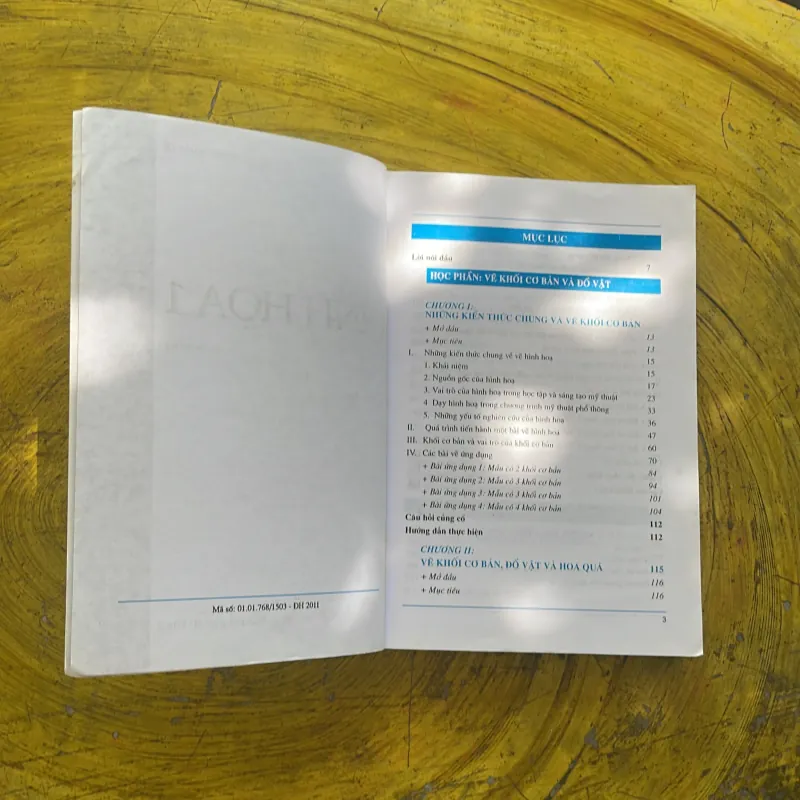 HÌNH HOẠ 1 - TRIỆU KHẮC LỄ  977771