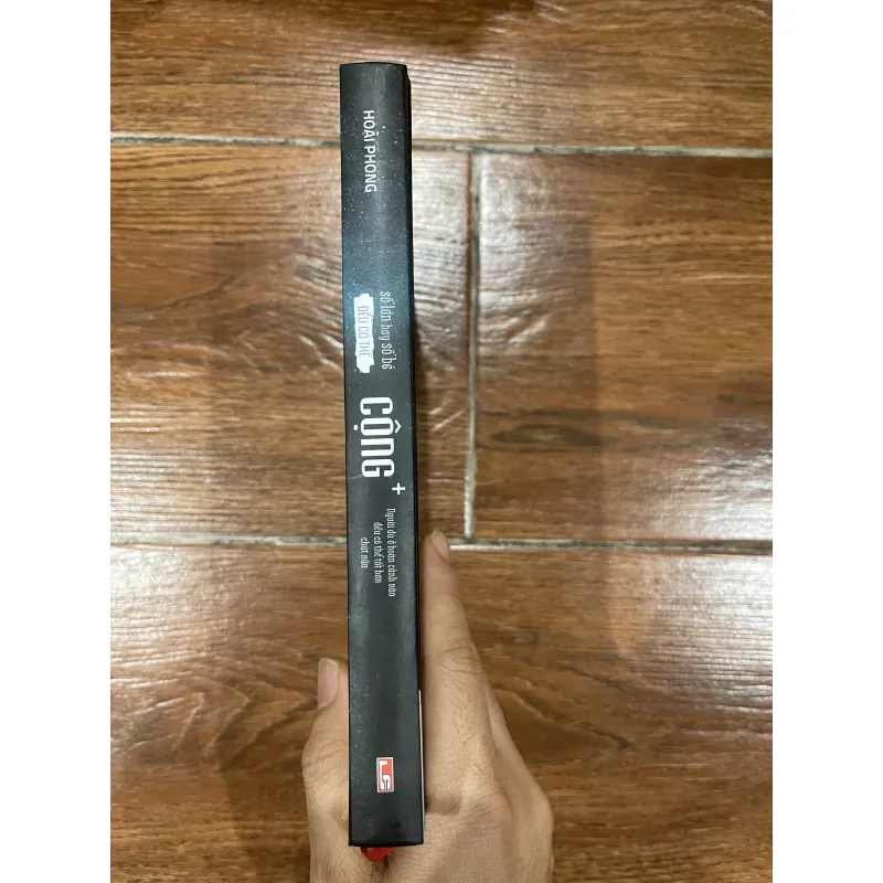 Cộng + Hoài Phong (7) 956918