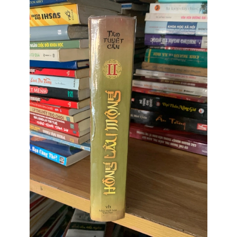 Hồng Lâu Mộng 2 -Tảo Tuyết Cẩn 758643