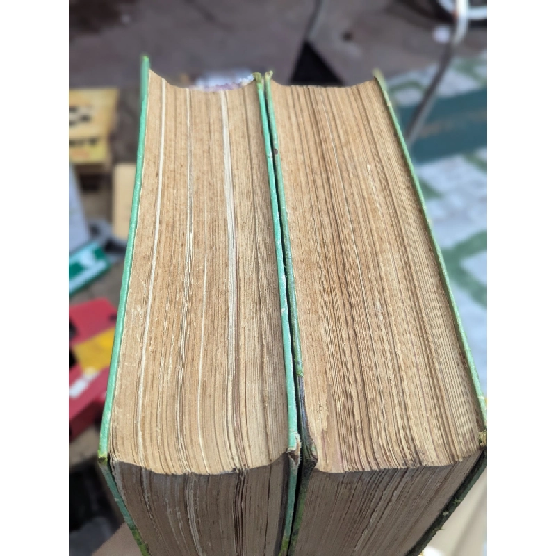 Việt Nam tự điển - Lê Văn Đức & Lê Ngọc Trụ ( trọn bộ 2 quyển khổ lớn ) 122707