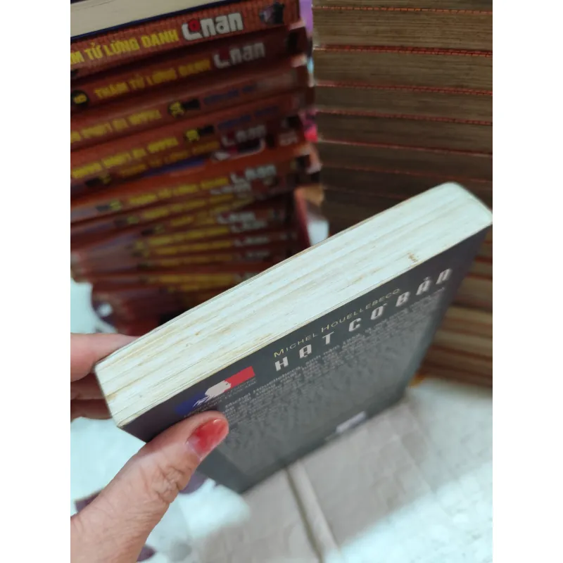 HẠT CƠ BẢN – MICHEL HOUELLEBECQ (TIỂU THUYẾT) - k4 1019019