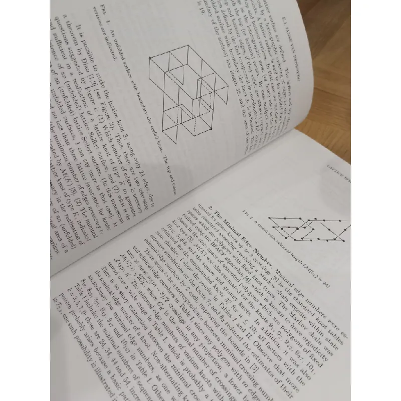 Mathematical Approaches to Biomolecular Structure and Dynamics, Volume 82 597364
