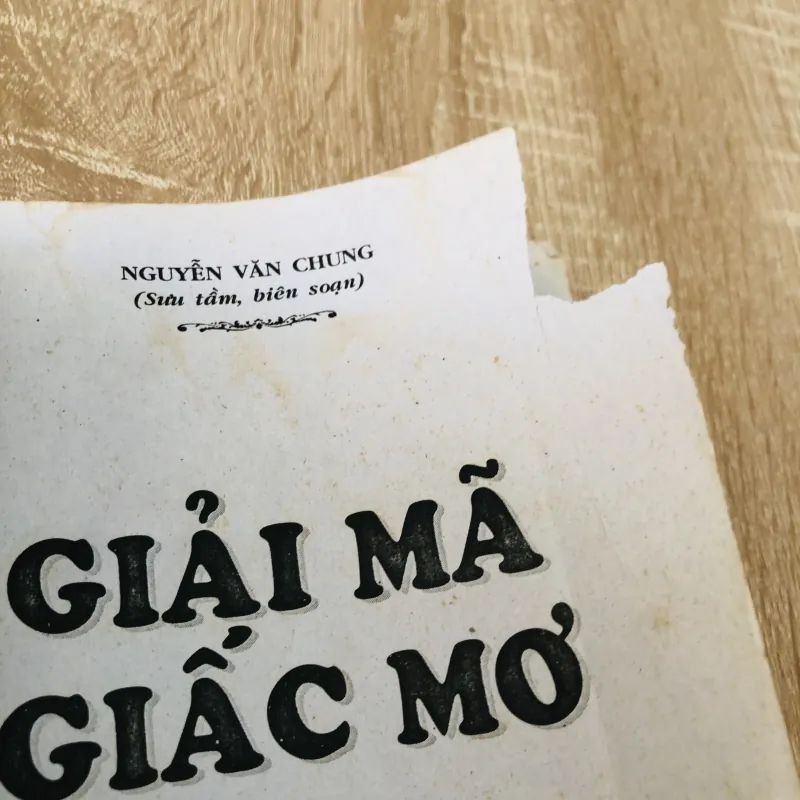 GIẢI MÃ GIẤC MƠ  727572