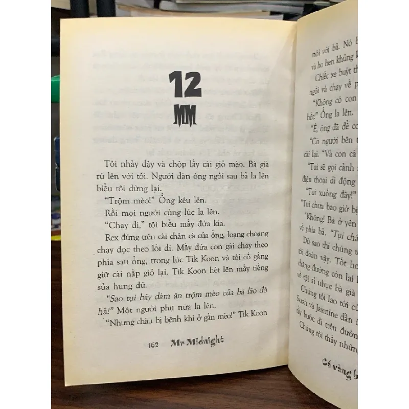 Mr Midnight Kinh hoàng lúc nửa đêm 3: Chuyến xe vô định, Cá vàng báo thù- James Lee 690185