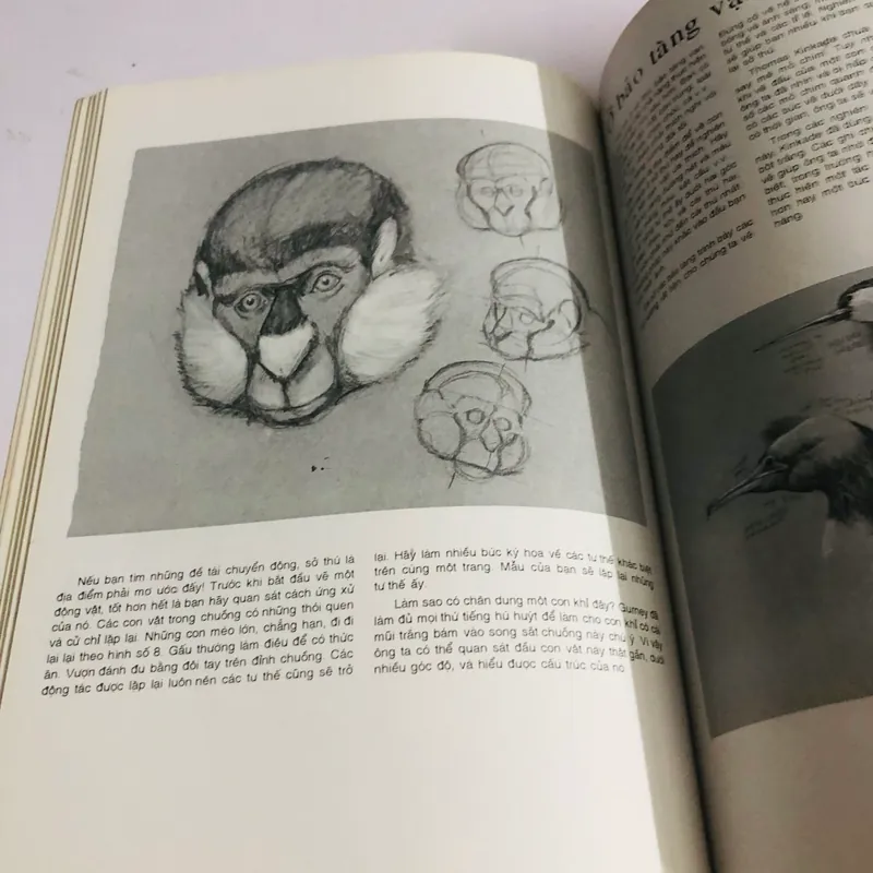 BÍ QUYẾT VẼ KÝ HỌA  565412