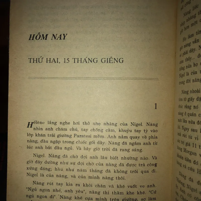 Tội lỗi - Judith Gould  991602