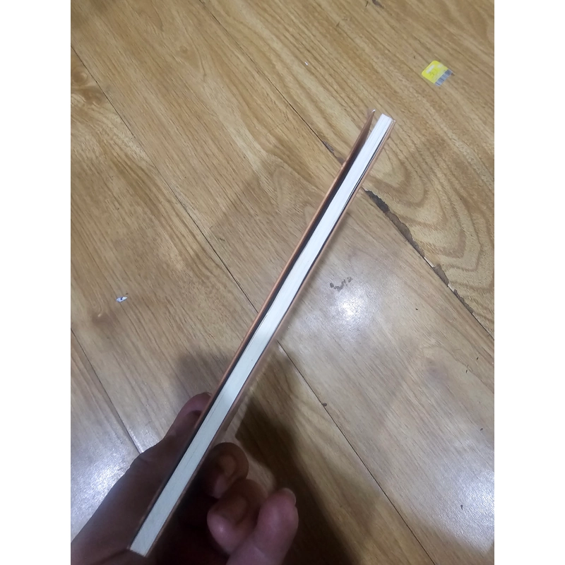 Thầy ơi, đêm cũng là ngày
50k (bìa 105k) 518907