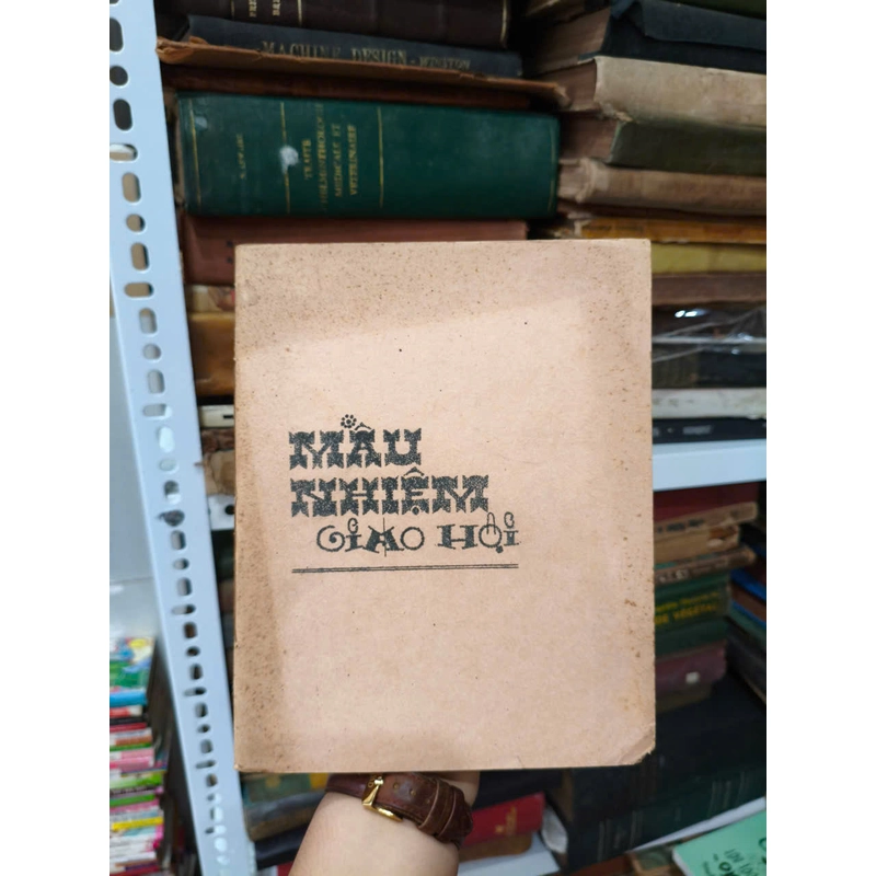 Mầu Nhiệm Giáo Hội 451698