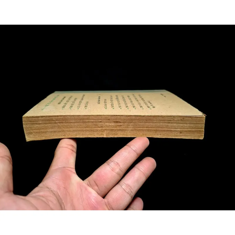 Nhà Đồi - Quang Dũng  1027026