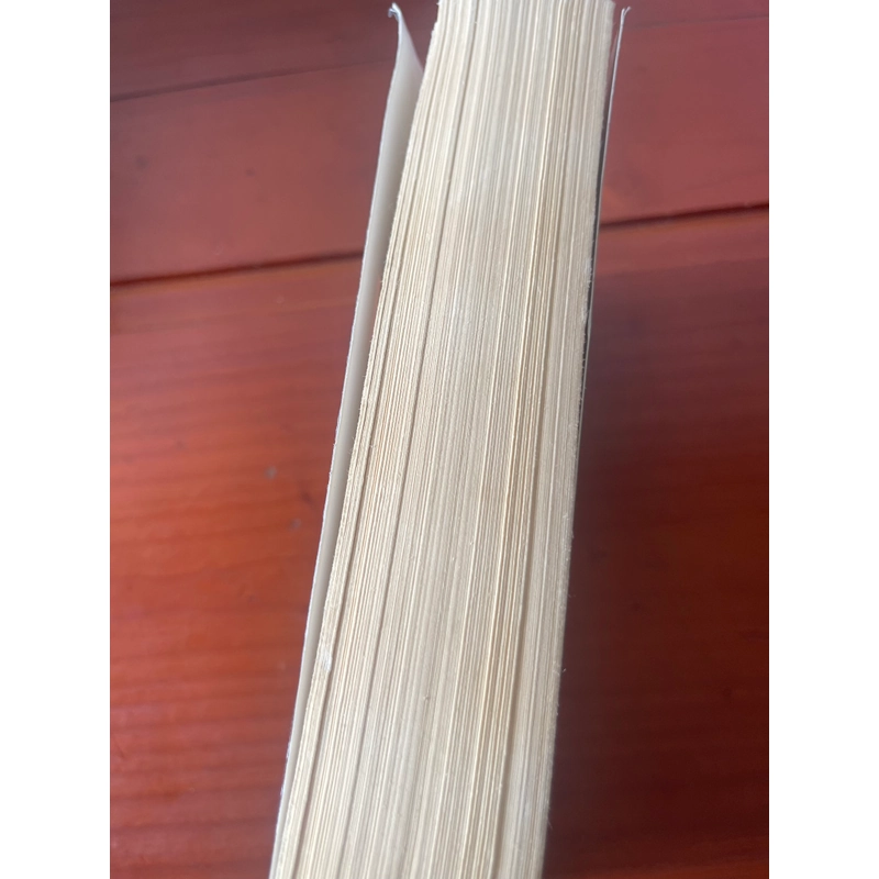 Lisey’s story Stephen King 547077