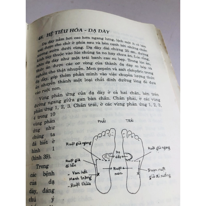 BẤM HUYỆT NƠI BÀN CHÂN 548734